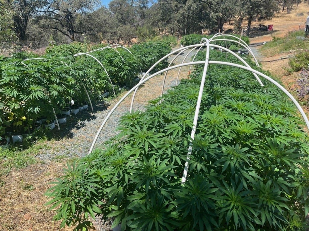 Garden hoops