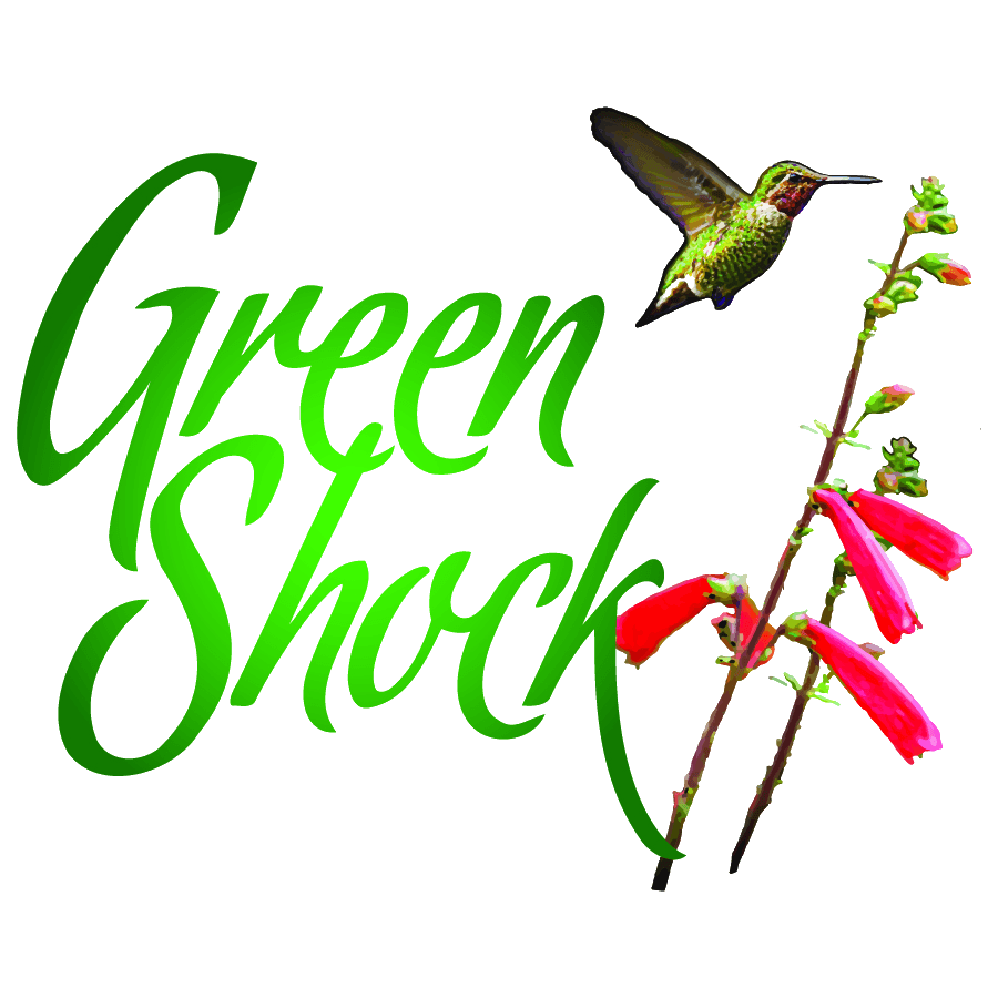 Greenshock wordmark with hummingbird and native-looking red tubular flowers.